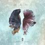 Mahi (feat. Mohamad Hadi) [with Negar 2paMIN]