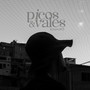 Picos e Vales