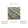 Mula (feat. Apecity Dyggz & Broc) [Explicit]