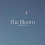 The Bloom instru