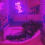 D0 T0night (Explicit)