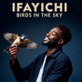 Birds in the Sky