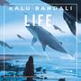 Life (feat. Kalu Bandali)