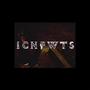 ICNFWTS (Explicit)