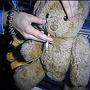 SCENE (feat. deepndfr) (feat. deepndfr) [Explicit]