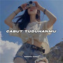 Cabut Tuduhanmu