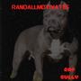 RAP BULLY (Explicit)