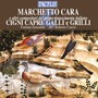 Vocal Recital: Curti, Cristina - JOSQUIN DES PREZ / PESENTI, M. / ZESSO, G.B. / CARA, M. / PATAVINO, F. / TROMBONCINO, B. (Cigni capre galli e grilli)