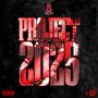 PROJECT 2025 (Explicit)