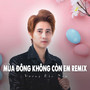 Mùa Đông Không Còn Em Remix (Ytmix)