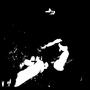 SUMMOR (Explicit)