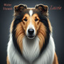 Lassie (Radio Edit)