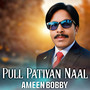 Pull Patiyan Naal