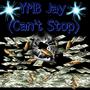 Can't Stop (Explicit)