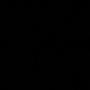 Blacked files