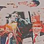DONALD TRUMP (feat. BRAY MILUS) [Explicit]