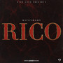 RICO (Explicit)