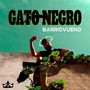 Gato Negro (Explicit)