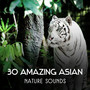 30 Amazing Asian Nature Sounds – Healing Music for Deep Sleep, Chakra Balancing, Guided Meditation, Inner Energy, Oriental Spa Music