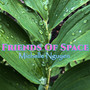 Friends Of Space