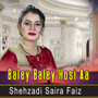 Baley Baley Hosi Aa - Single