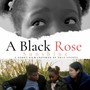 A Black Rose Sunshine (Original Sound Track)