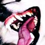 Chaotica (feat. Myles Bryant) [Explicit]