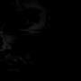 In The Black (feat. Jeremiah Bonds & Paradox)
