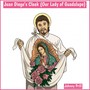 Juan Diego’s Cloak (Our Lady of Guadalupe)