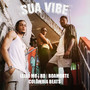 Sua Vibe (Explicit)