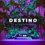 Destino (feat. Ashesndreams)