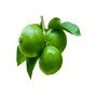 limes