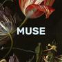 Muse