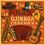 La Polka De Ojinaga Chihuahaua