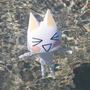 Swimming cat