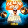 Не моя вина (Remix by DJ Mexx)