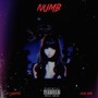 NUMB (Explicit)