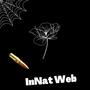 InNat Web (feat. Luwop Dmg) [Explicit]