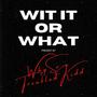 Wit It or What (feat. troubledkid2x) [Explicit]