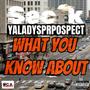 What You Know About (feat. Yaladysprospect) [Explicit]
