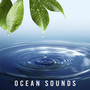 Ocean Sounds