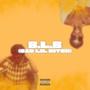 BLB (Bad Lil *****) (feat. Javinci) [Explicit]