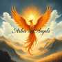Ashes And Angels
