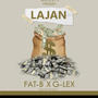 Lajan (feat. G-leX)