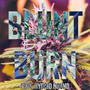 Blunt Burn (feat. Hybrid Hound) [Explicit]