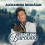 Sunt din Bucovina