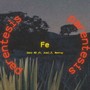 Paréntesis:Fe