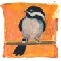 Chickadee