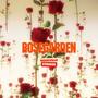 Rosegarden (feat. Samdarsh Sondh, Russell Graham & Cyrus Reel) [Radio Edit]