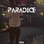 ParaDice (Explicit)